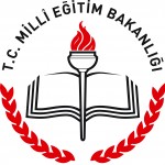 trafik-bombeli-aynasi